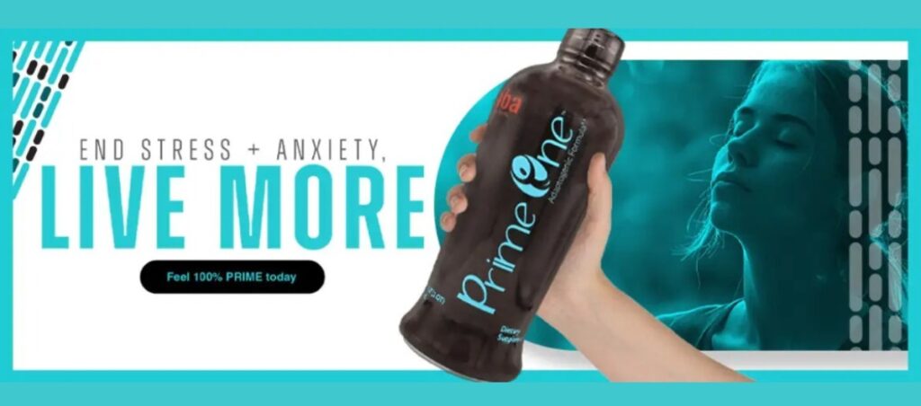 Adaptogen Support for Modern Stress