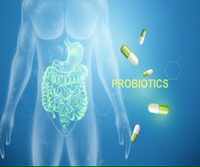 Prebiotic and Probiotic Blend Complex
