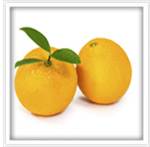 Bitter Orange: