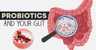 gut health and digestion Supplements