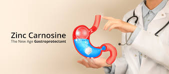 Gut Health Supplements Supports mucosal lining