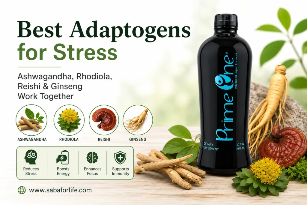 Adaptogens for Stress relief- What Science and Centuries of Use Tell Us