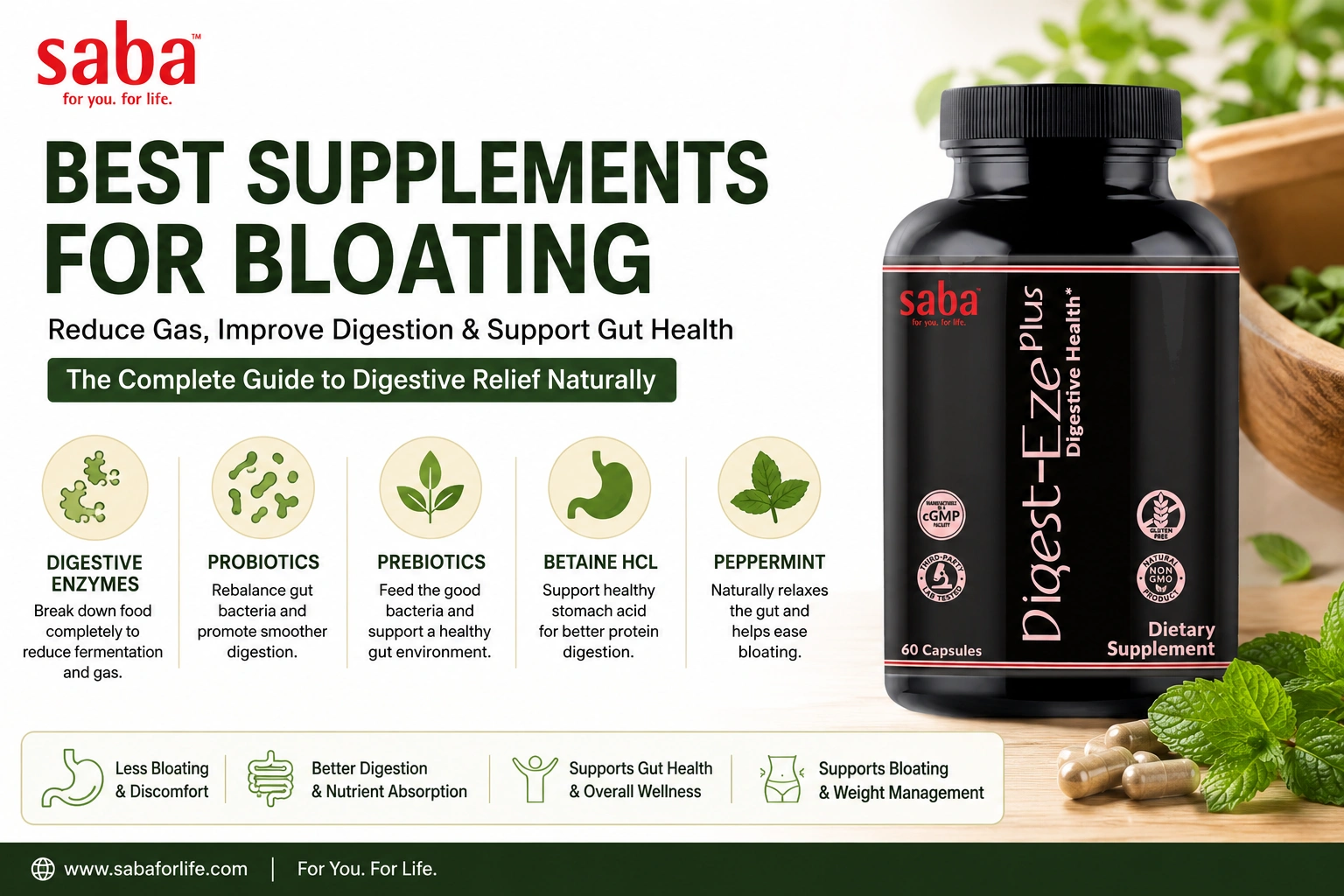 Best Supplements for Bloating Digestive Enzymes, Probiotics & Gut Health Support